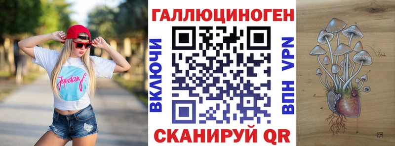 купить наркотики сайты  Райчихинск  Галлюциногенные грибы мицелий 